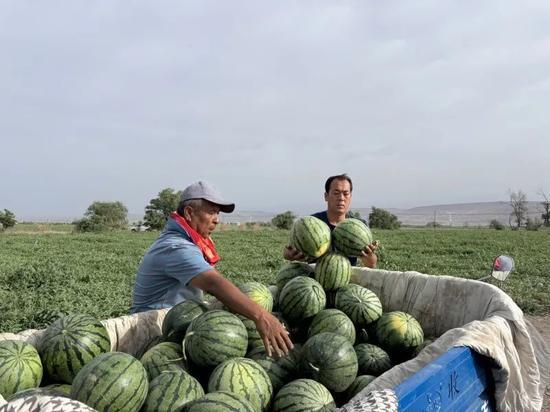 缅甸免费吃瓜入口,一场独特的美食体验之旅 第2张 缅甸免费吃瓜入口,一场独特的美食体验之旅 第2张